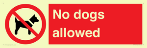 No dogs allowed